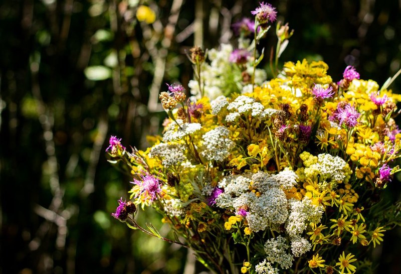 Bouquet Rond Champêtre